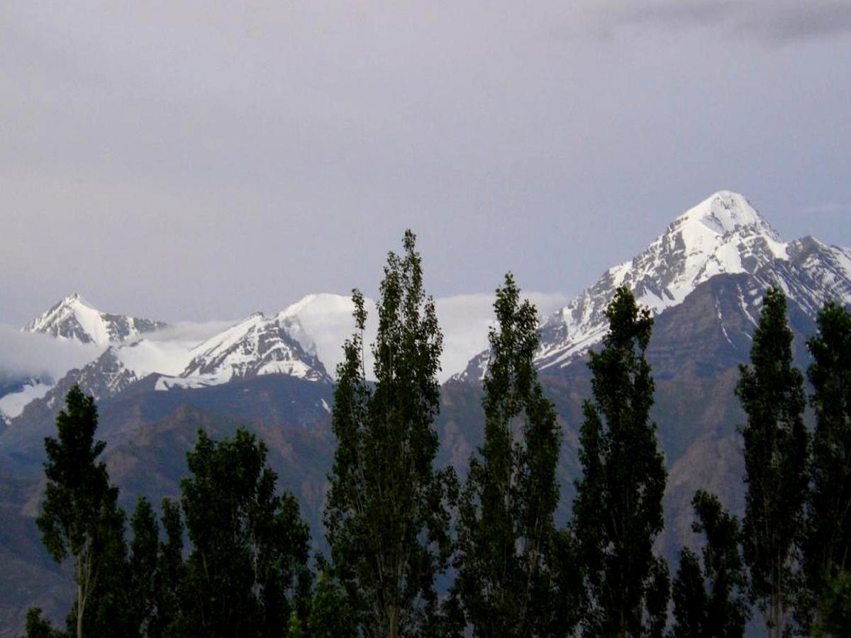 Kidar Hotel Leh Bagian luar foto