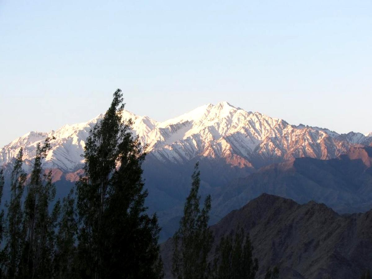 Kidar Hotel Leh Bagian luar foto