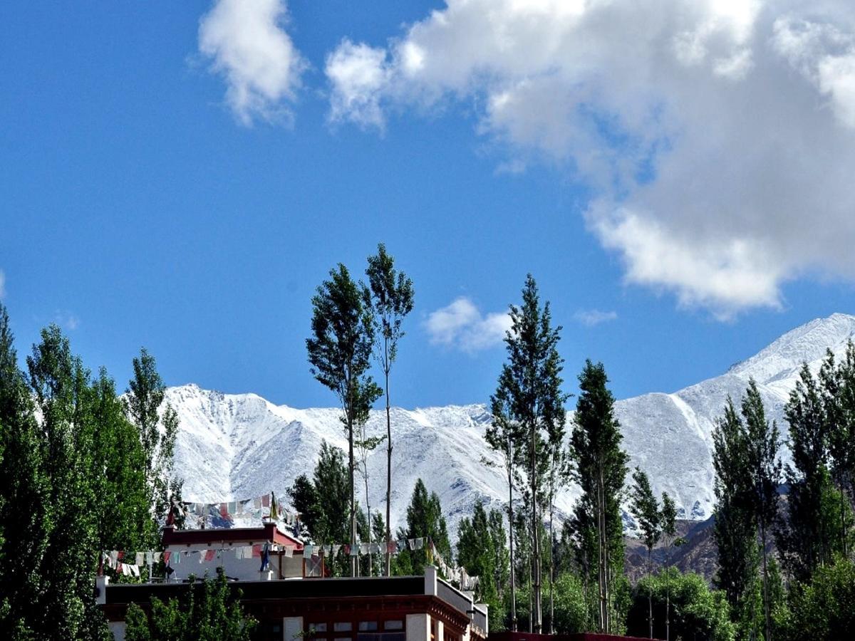 Kidar Hotel Leh Bagian luar foto